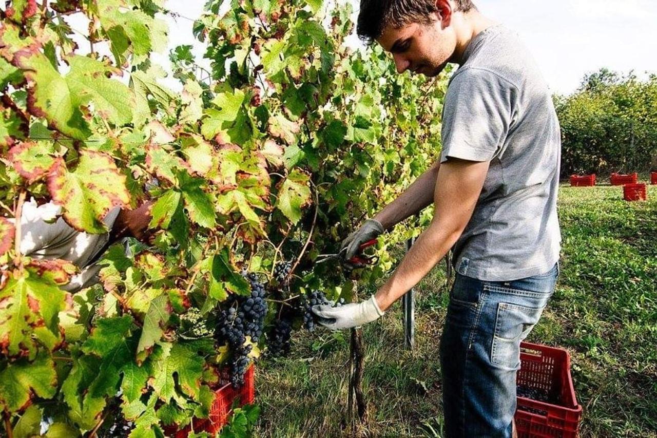 Agriturismo Podere Prasiano Marano sul Panaro Buitenkant foto