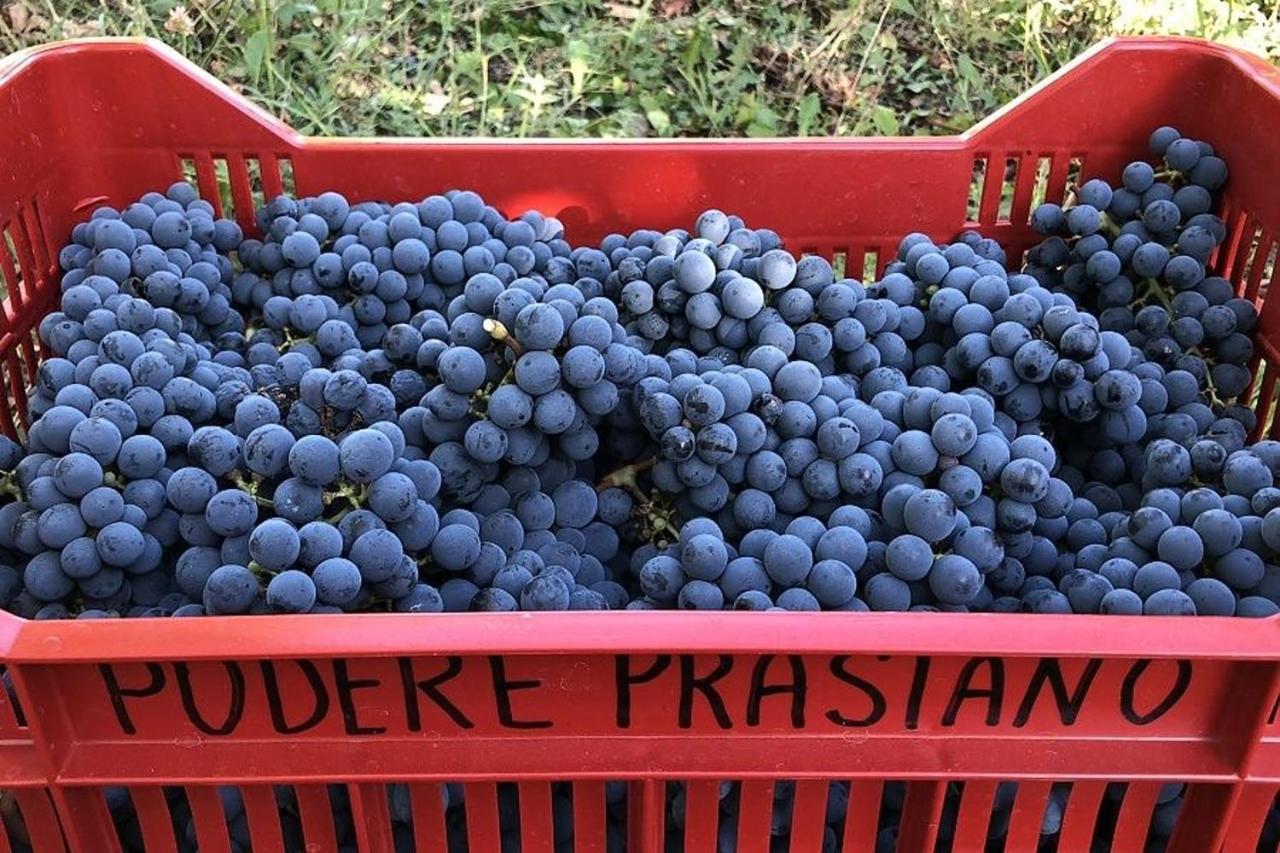 Agriturismo Podere Prasiano Marano sul Panaro Buitenkant foto