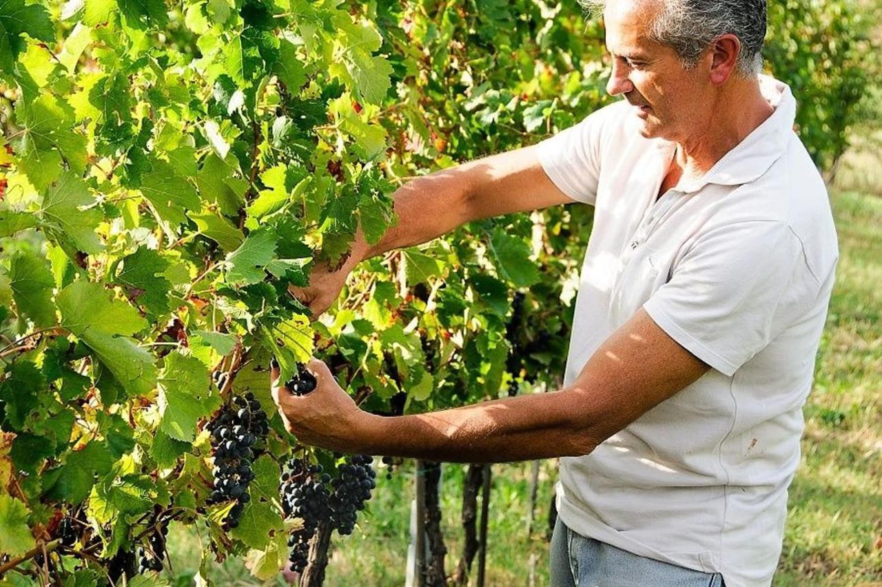 Agriturismo Podere Prasiano Marano sul Panaro Buitenkant foto